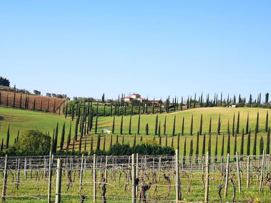 Castello Di Fulignano Ottone Superior Apartment San Gimignano Ngoại thất bức ảnh